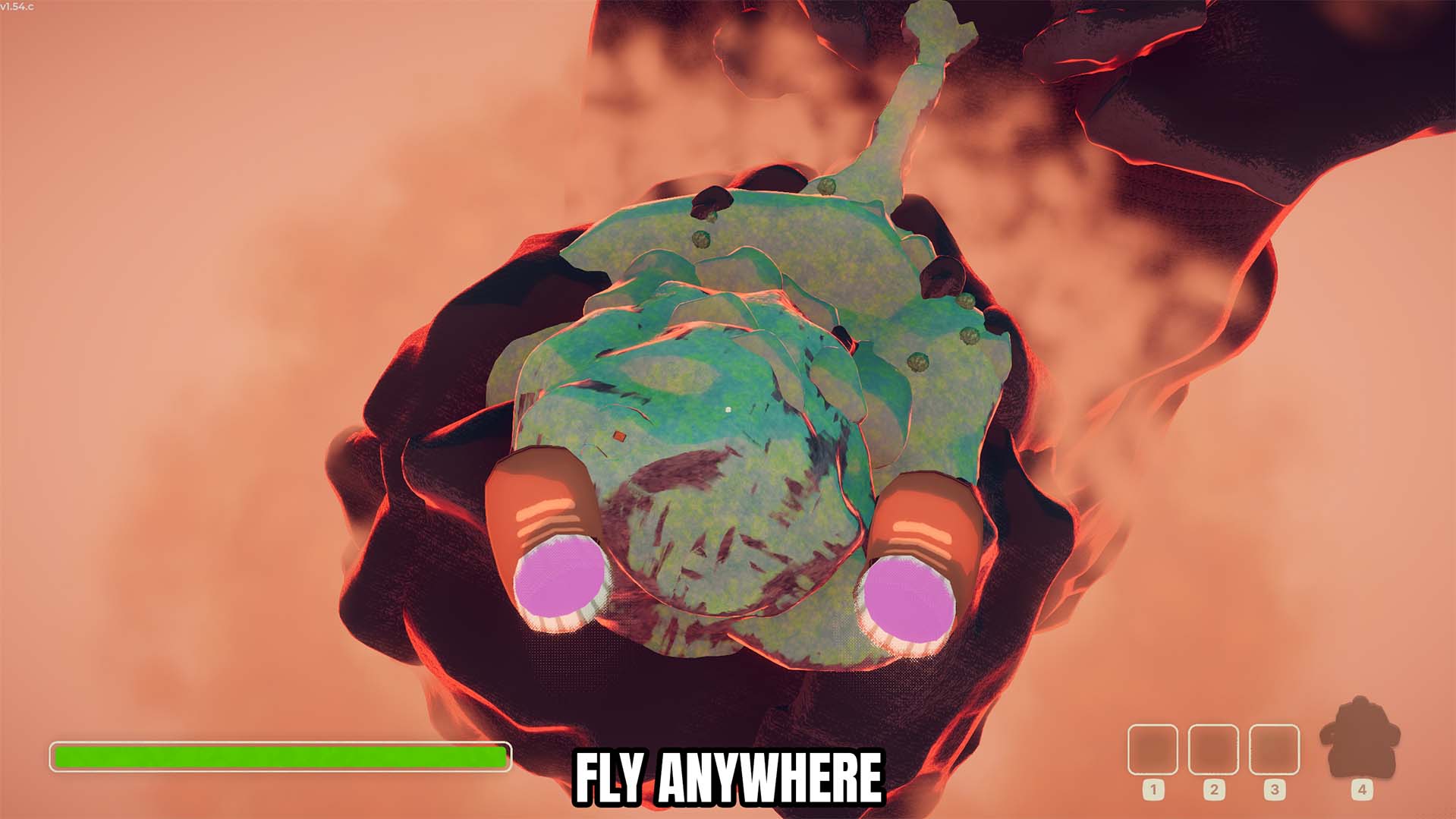 Fly