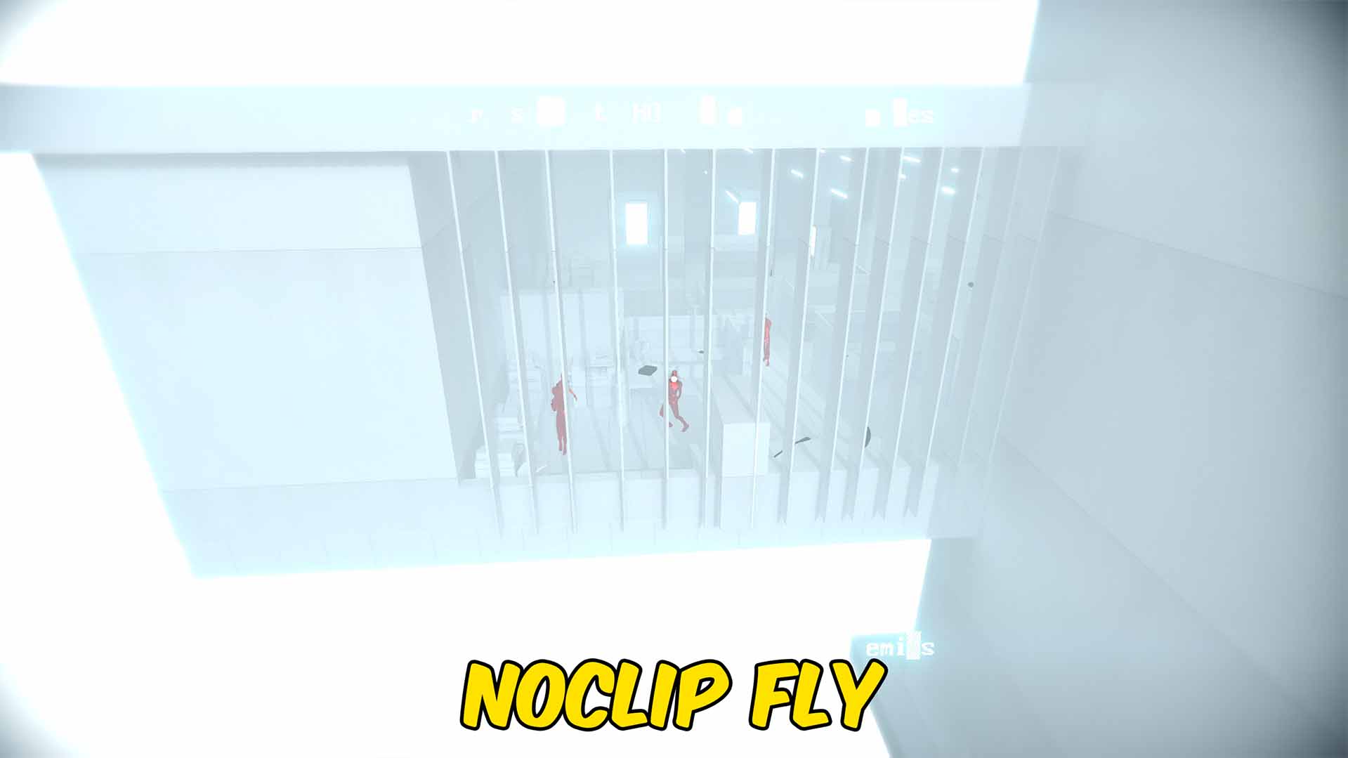 Fly
