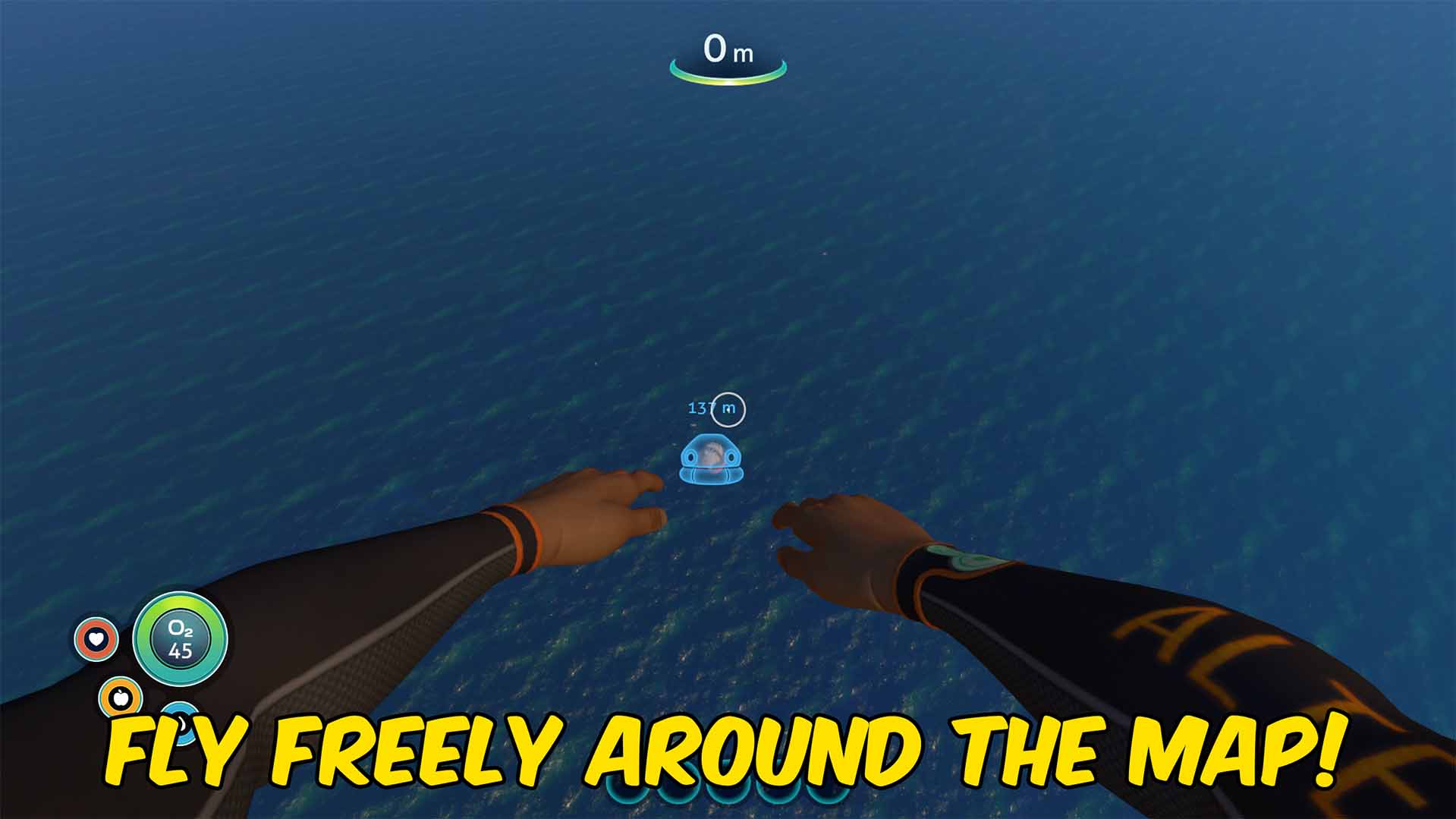 Fly