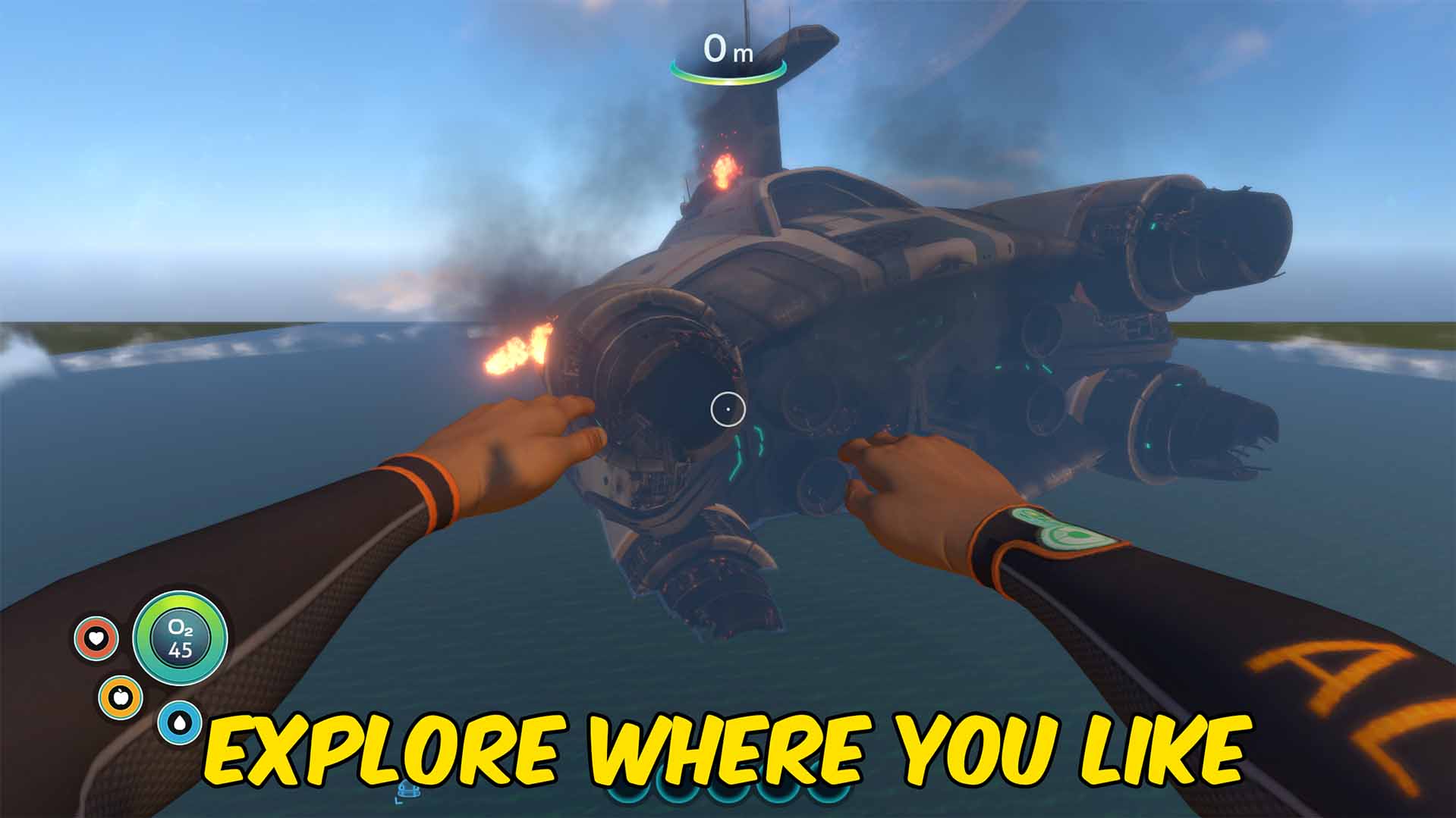 Subnautica — Fly (screenshot 2)