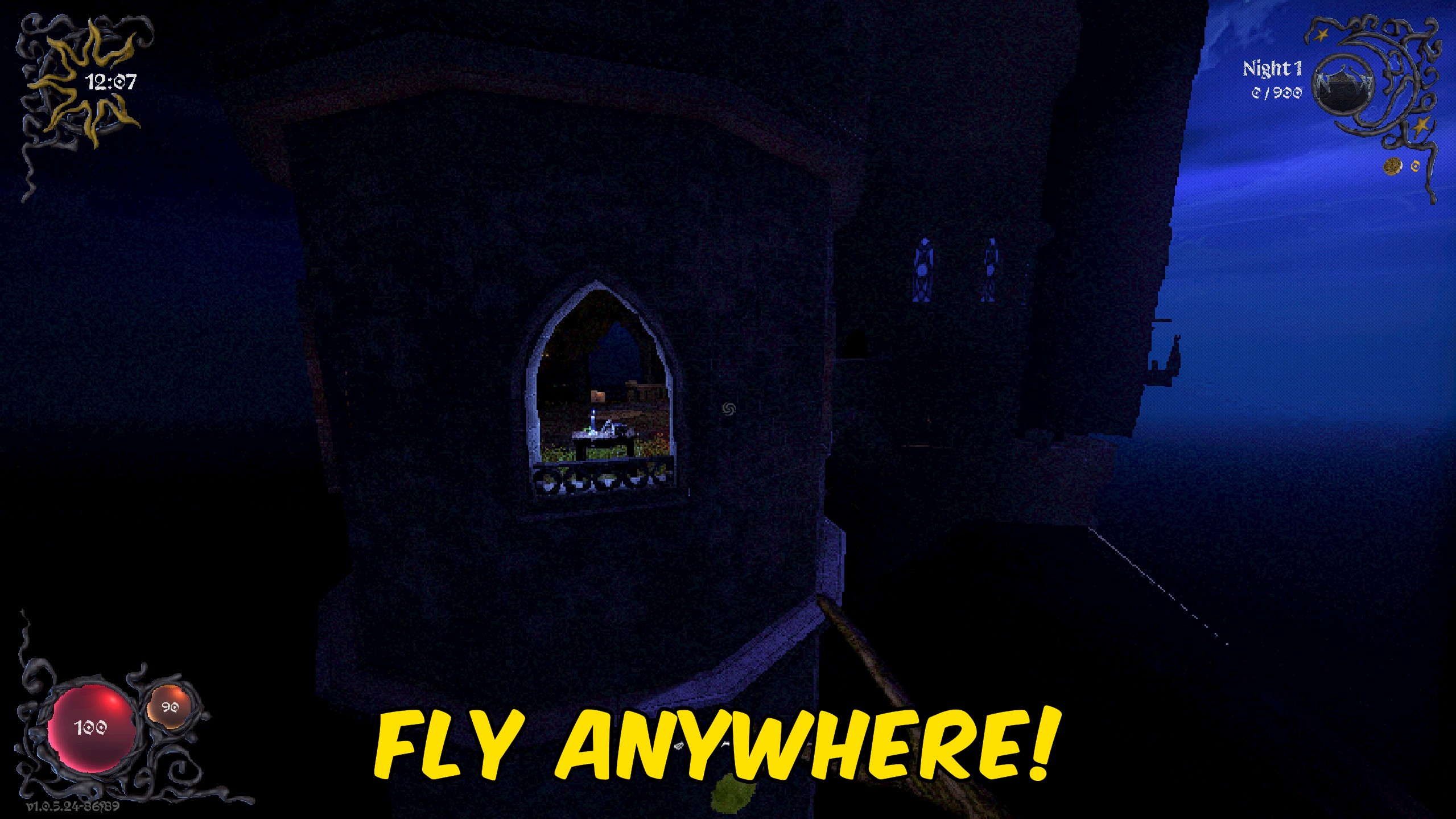 Fly